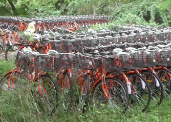 જામનગર સહિત રાજ્યભરમાં ‘સરકારી સાયકલ’ નું કરોડોનું કૌભાંડ