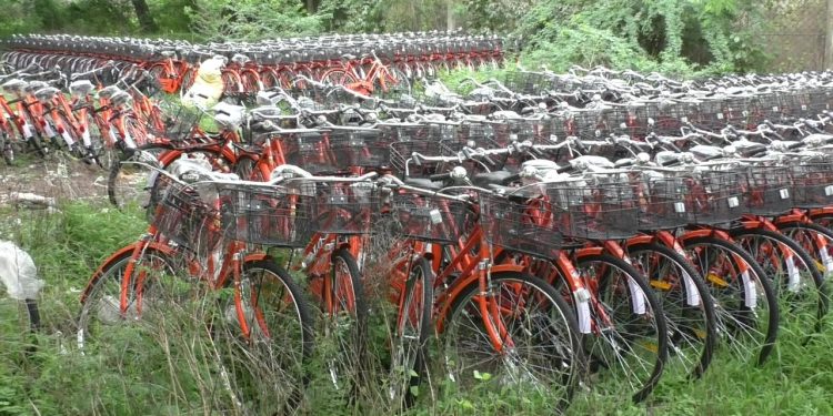 જામનગર સહિત રાજ્યભરમાં ‘સરકારી સાયકલ’ નું કરોડોનું કૌભાંડ