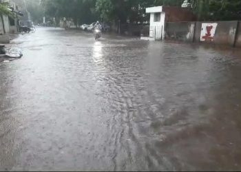 હાલારમાં મેઘરાજાની સચરાચર કૃપા : 7  ઈંચ સુધીનો વરસાદ…