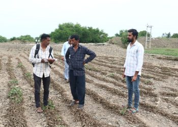 અતિવૃષ્ટિ બાદ પાક નુકશાનીનો સર્વે કરવા ટીમો ઉતરી….