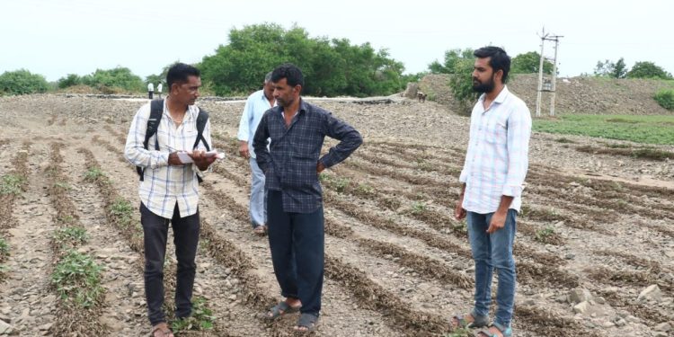 અતિવૃષ્ટિ બાદ પાક નુકશાનીનો સર્વે કરવા ટીમો ઉતરી….