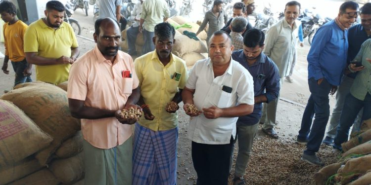 તામિલનાડુના વેપારીઓ મગફળી ખરીદવા જામનગર આવે છે ?!….