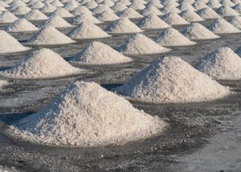 સોલ્ટ પ્લાનની હજારો એકર જમીનો ‘છૂટી’ થશે….