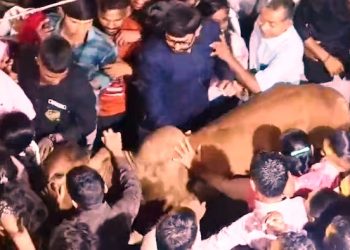 યાત્રાધામ દ્વારકામાં ભક્તોના ઘોડાપૂર વચ્ચે આખલો: હજારોના શ્વાસ અધ્ધર…