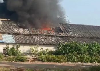 મોતના સમાચાર : ટ્રાન્સપોર્ટ ગોદામમાં 3 કામદાર ભડથું !!