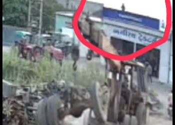 પતરાના શેડમાં બનેલ શોરૂમ ઉપર હાઈટેન્શન લાઈનને અડકી જતા યુવકનું મોત