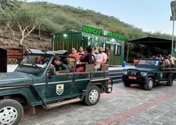 ભાણવડ નજીક બરડા જંગલ સફારીને દિવાળી વેકેશન ફળ્યું