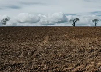 પુન:હેતુફેરની જમીનો આ પદ્ધતિએ ફટાફટ ‘બિનખેતી’ થઈ જશે…