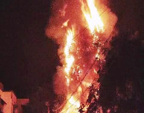 જામનગર : દીવાળીની રાત સહિત 24 કલાકમાં આગના 27 બનાવથી દોડધામ…