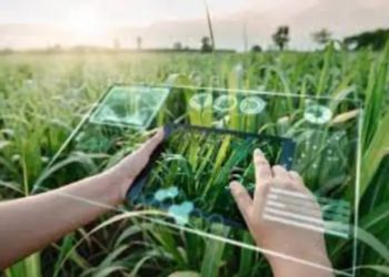 ગુજરાતમાં રવિ સિઝનના ડિજિટલ ક્રોપ સર્વેનો આજથી શુભારંભ