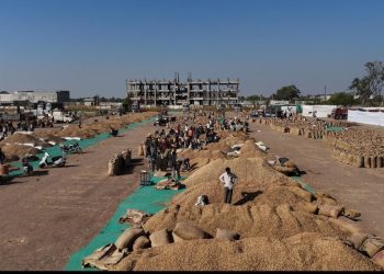 ખંભાળિયામાં ટેકાના ભાવે મગફળી ખરીદીની કામગીરી ઠપ્પ: ખેડૂતો હાલાકીમાં