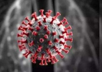 HMPV: આરોગ્ય વિભાગ દ્વારા માર્ગદર્શિકા જાહેર…