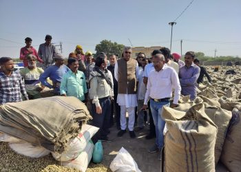 ગુજરાતમાં ખેડૂતો પાસેથી અત્યાર સુધીની સૌથી વધુ વિક્રમ સર્જક 12.23 લાખ મેટ્રીક ટન મગફળી ટેકાના ભાવે ખરીદાઈ: કૃષિમંત્રી રાઘવજી પટેલ