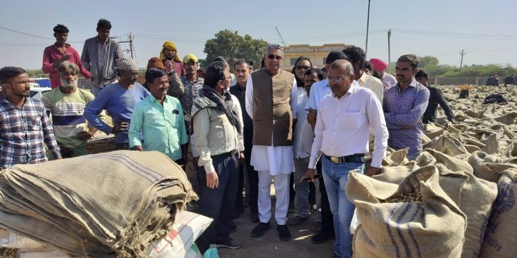 ગુજરાતમાં ખેડૂતો પાસેથી અત્યાર સુધીની સૌથી વધુ વિક્રમ સર્જક 12.23 લાખ મેટ્રીક ટન મગફળી ટેકાના ભાવે ખરીદાઈ: કૃષિમંત્રી રાઘવજી પટેલ