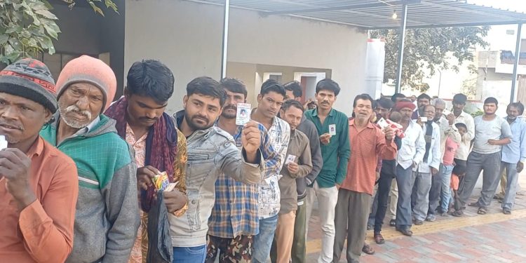 હાલારની 6 પાલિકાઓ અને પંચાયતોમાં રહ્યું આટલું મતદાન…
