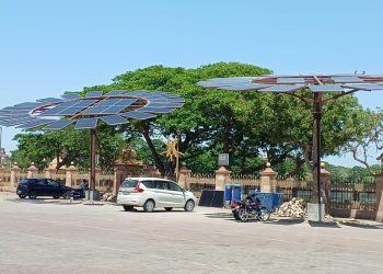 જામનગરમાં સોલાર ઝાડવા: લાખના બાર હજાર કરવાનો ધંધો !