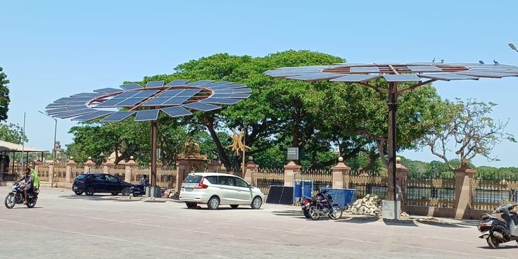 જામનગરમાં સોલાર ઝાડવા: લાખના બાર હજાર કરવાનો ધંધો !