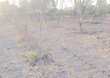 આક્ષેપ: જામનગર જિલ્લાના ધ્રોલના શહીદવનમાં ગ્રાન્ટનું ‘કલ્યાણ’ !!