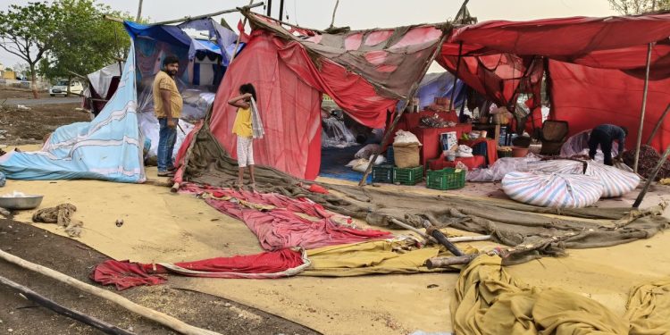 જામનગર-દ્વારકા સહિતના જિલ્લાઓમાં કમોસમી વરસાદ: રાજયમાં 6 મોત…