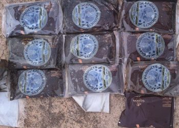 કલ્યાણપુરના ગોજીનેસ ગામેથી ચરસનો રૂ. 6.62 કરોડનો બિનવરસુ જથ્થો સાંપડ્યો