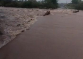 10 ઈંચથી વધુ : જામનગર, કાલાવડ, લાલપુરમાં ધીંગો વરસાદ..ગ્રામીણ વિસ્તારના આંકડાઓ પણ વાંચો