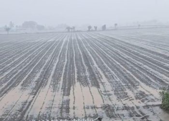 જામનગર જિલ્લામાં પાંચેક ઈંચ સુધીનો વરસાદ..તમારા ગામમાં કેટલો વરસાદ વાંચો