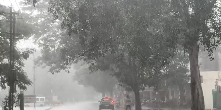 ખંભાળિયા સહિત જિલ્લામાં કમોસમી માવઠું: બે ઈંચ વરસાદથી ખેડૂતોને વ્યાપક નુકસાની