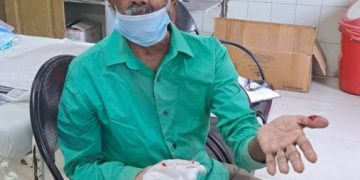 કૂતરાંનો ત્રાસ : જામનગરની જીજી હોસ્પિટલનું તંત્ર સંપૂર્ણ રેઢીયાળ..!