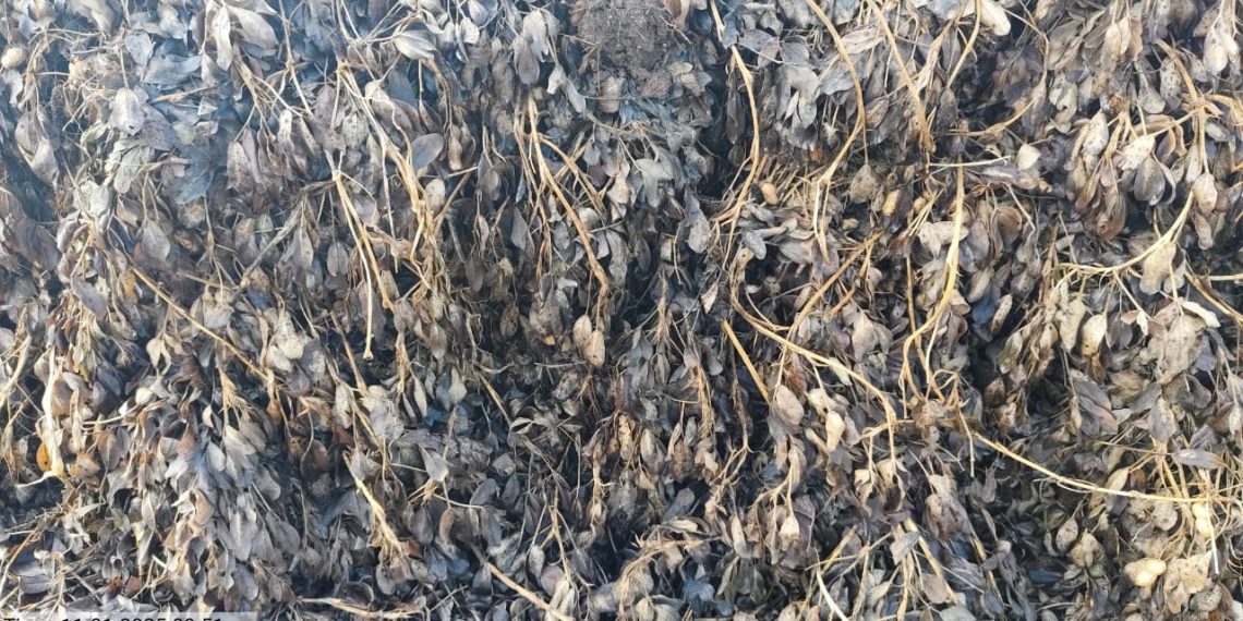 રાહત પેકેજ : ‘આવી રહ્યું છે’ ની વાતો…પણ, વિલંબ…