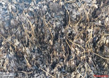 રાહત પેકેજ : ‘આવી રહ્યું છે’ ની વાતો…પણ, વિલંબ…