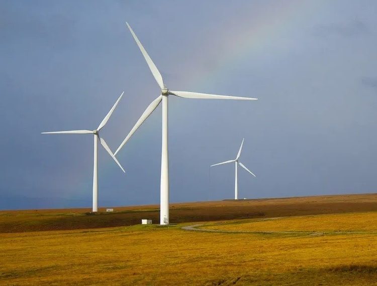 જામનગરના લાલપુર તાલુકામાં પવનચકકી કંપનીની ‘ઉઘાડી’ દાદાગીરી !!…