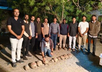 1 કાચબો રૂ. 5-7 લાખનો, 12 કાચબા ઝડપાઈ ગયા..!