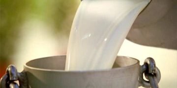 ગરવી ગુજરાતમાં દૂધ ‘અમૃત’ નથી  : 3,000થી વધુ નમૂનાઓ fail..